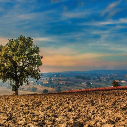 L’Umbria: Un Cuore Verde di Bellezze Naturali